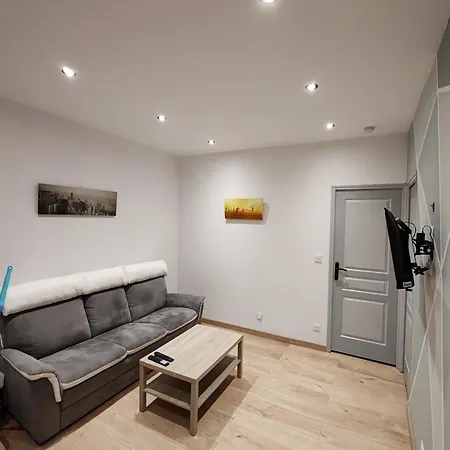 Appartement 40 M2 Saint-Etienne  Exterior photo