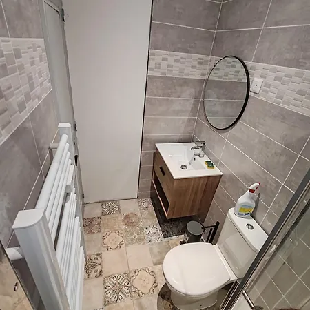 Appartement 40 M2 Saint-Etienne  Exterior photo
